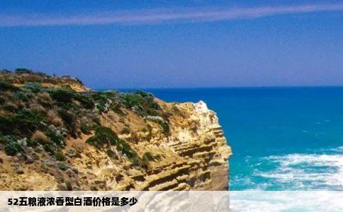 52五粮液浓香型白酒价格是多少