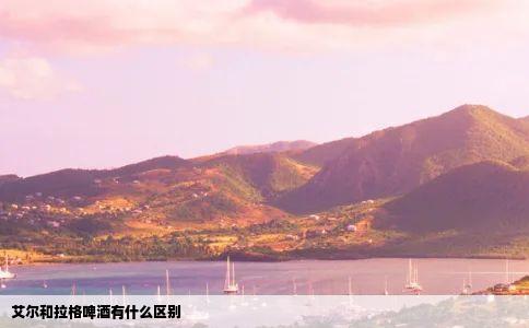 艾尔和拉格啤酒有什么区别