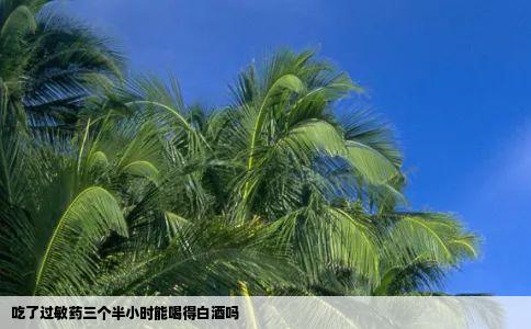 吃了过敏药三个半小时能喝得白酒吗