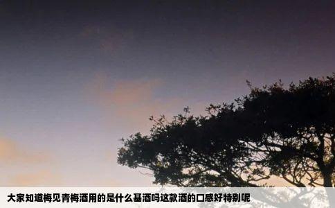 大家知道梅见青梅酒用的是什么基酒吗这款酒的口感好特别呢