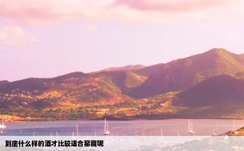 到底什么样的酒才比较适合窑藏呢