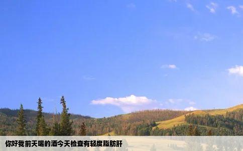 你好我前天喝的酒今天检查有轻度脂肪肝