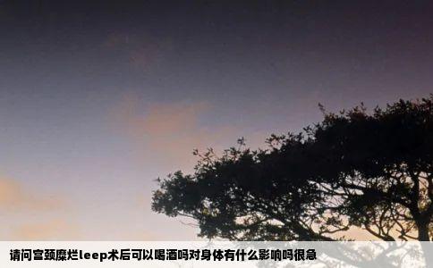 请问宫颈糜烂leep术后可以喝酒吗对身体有什么影响吗很急