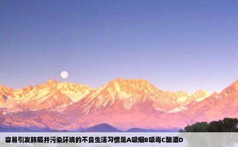 容易引发肺癌并污染环境的不良生活习惯是A吸烟B吸毒C酗酒D