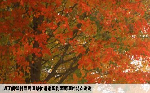 谁了解智利葡萄酒帮忙讲讲智利葡萄酒的特点谢谢