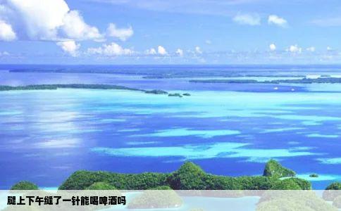 腿上下午缝了一针能喝啤酒吗