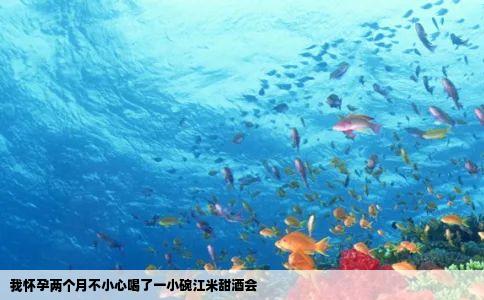 我怀孕两个月不小心喝了一小碗江米甜酒会