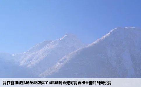 我在新加坡机场免税店买了4瓶酒到香港可我要出香港的时候说我