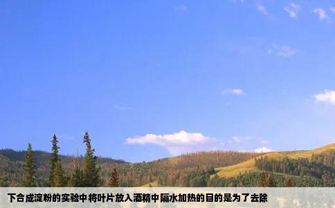 下合成淀粉的实验中将叶片放入酒精中隔水加热的目的是为了去除