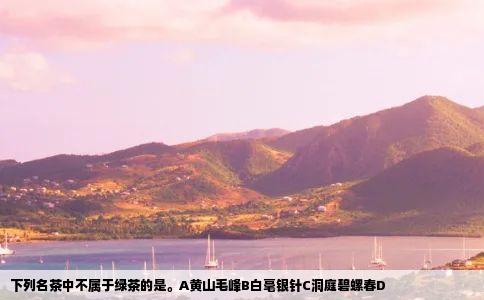 下列名茶中不属于绿茶的是。A黄山毛峰B白毫银针C洞庭碧螺春D