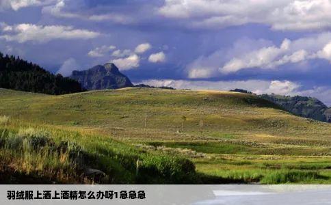 羽绒服上洒上酒精怎么办呀1急急急