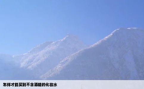 怎样才能买到不含酒精的化妆水