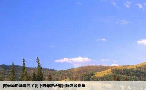 做米酒的酒喝完了剩下的米粒还有用吗怎么处理