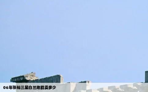 06年张裕三星白兰地能卖多少