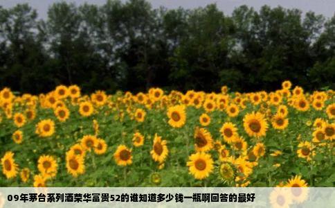 09年茅台系列酒荣华富贵52的谁知道多少钱一瓶啊回答的最好