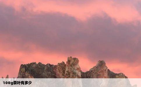 100g茶叶有多少