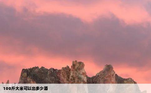 100斤大米可以出多少酒