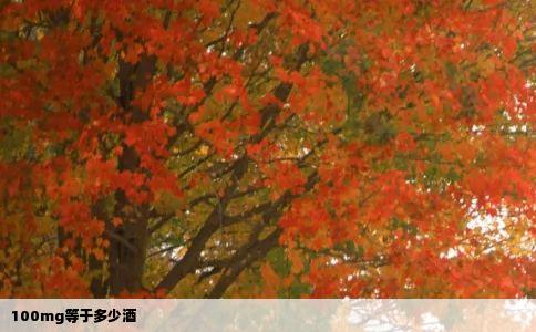 100mg等于多少酒