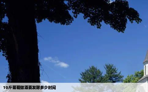 10斤葡萄做酒要发酵多少时间
