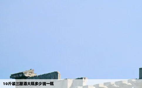 10斤装三鞭酒大瓶多少钱一瓶