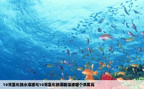 10克氯化钠水溶液与10克氯化钠酒精溶液哪个浓度高