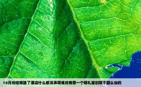 10月份结婚除了酒店什么都没弄呢谁给推荐一个婚礼策划啊不那么俗的