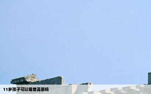 11岁孩子可以喝普洱茶吗
