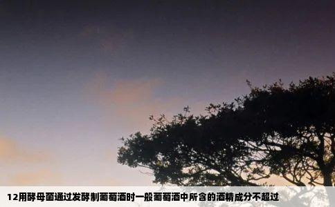 12用酵母菌通过发酵制葡萄酒时一般葡萄酒中所含的酒精成分不超过