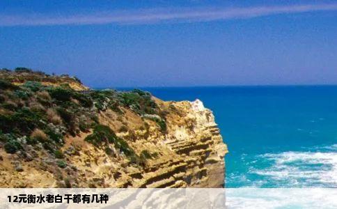 12元衡水老白干都有几种