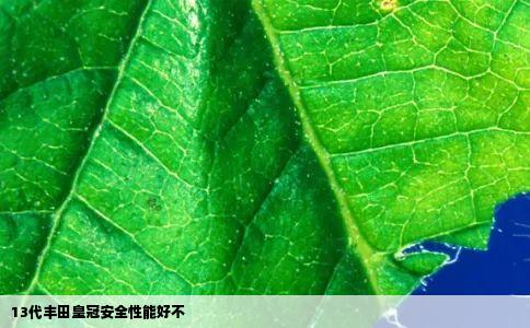 13代丰田皇冠安全性能好不