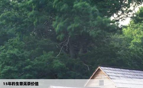 15年的生普洱茶价值