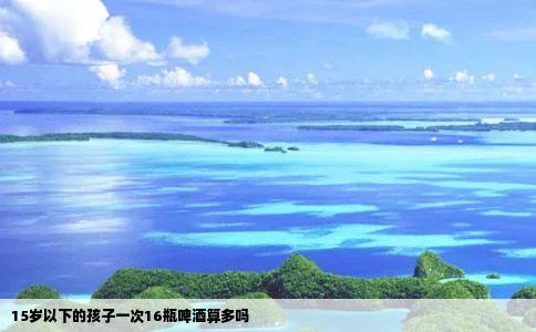 15岁以下的孩子一次16瓶啤酒算多吗