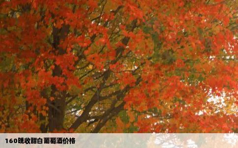 160晚收甜白葡萄酒价格