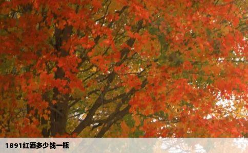 1891红酒多少钱一瓶