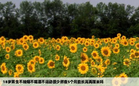 18岁男生不抽烟不喝酒不运动很少熬夜5个月能长高两厘米吗