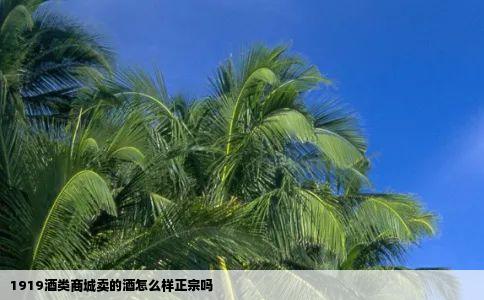 1919酒类商城卖的酒怎么样正宗吗