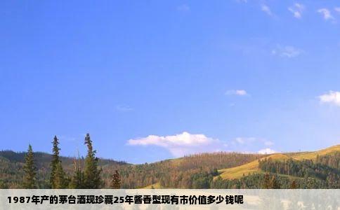 1987年产的茅台酒现珍藏25年酱香型现有市价值多少钱呢