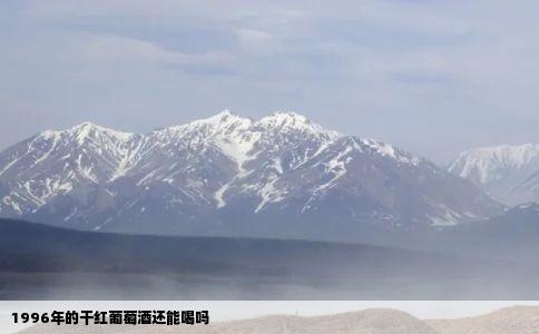 1996年的干红葡萄酒还能喝吗