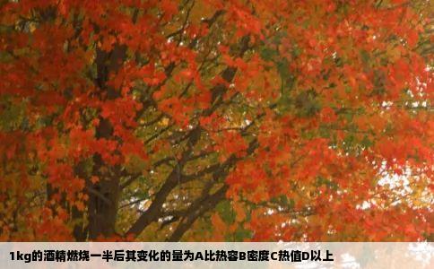 1kg的酒精燃烧一半后其变化的量为A比热容B密度C热值D以上