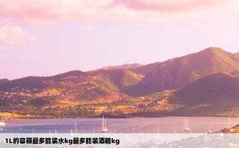 1L的容器最多能装水kg最多能装酒精kg