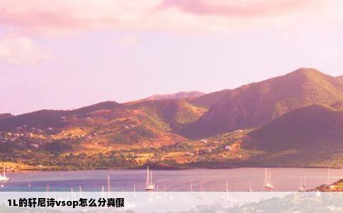 1L的轩尼诗vsop怎么分真假