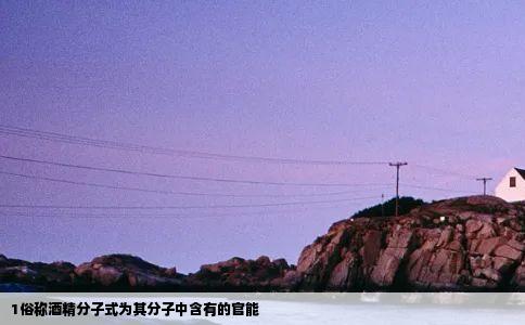 1俗称酒精分子式为其分子中含有的官能