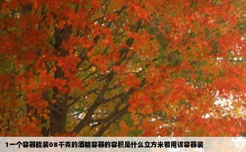 1一个容器能装08千克的酒精容器的容积是什么立方米若用该容器装