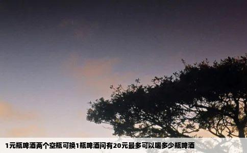 1元瓶啤酒两个空瓶可换1瓶啤酒问有20元最多可以喝多少瓶啤酒