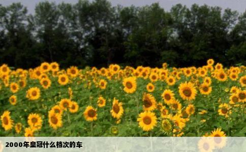 2000年皇冠什么档次的车