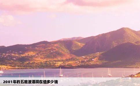 2001年的五粮液酒现在值多少钱