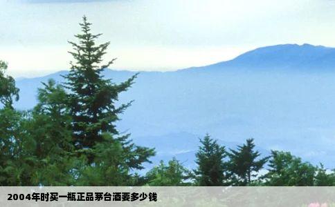 2004年时买一瓶正品茅台酒要多少钱