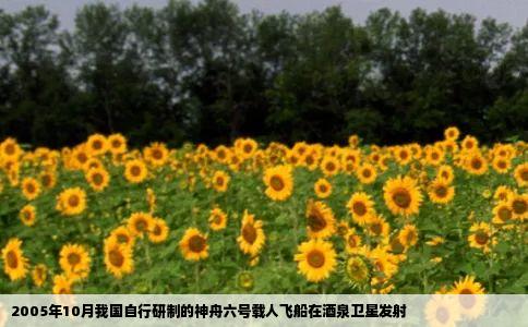 2005年10月我国自行研制的神舟六号载人飞船在酒泉卫星发射