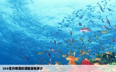 200毫升啤酒的酒精量有多少