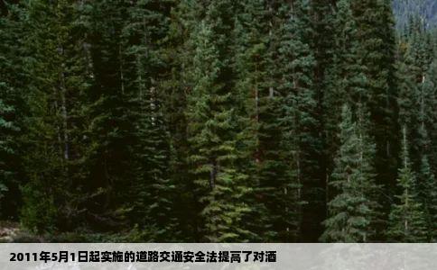 2011年5月1日起实施的道路交通安全法提高了对酒
